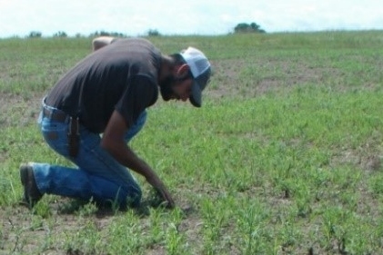 Honey Bee Health Coalition Partners Beekeepers and Landowners Together to Enhance Pollinator Health