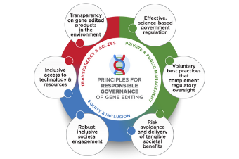 NGOs Outline Principles for Governance of Gene Edited Products for Agriculture and the Environment