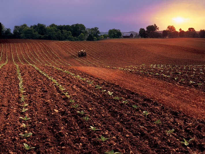 Keystone Among Partnership Receiving Contract For Climate-Smart Commodities Learning Network