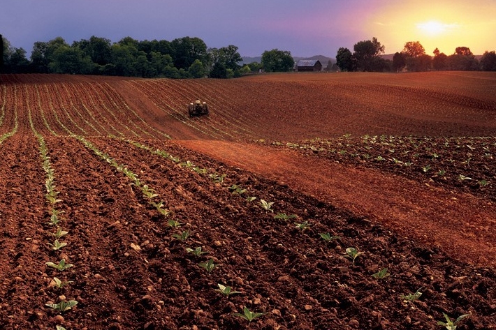 Farm Labor Practices Group