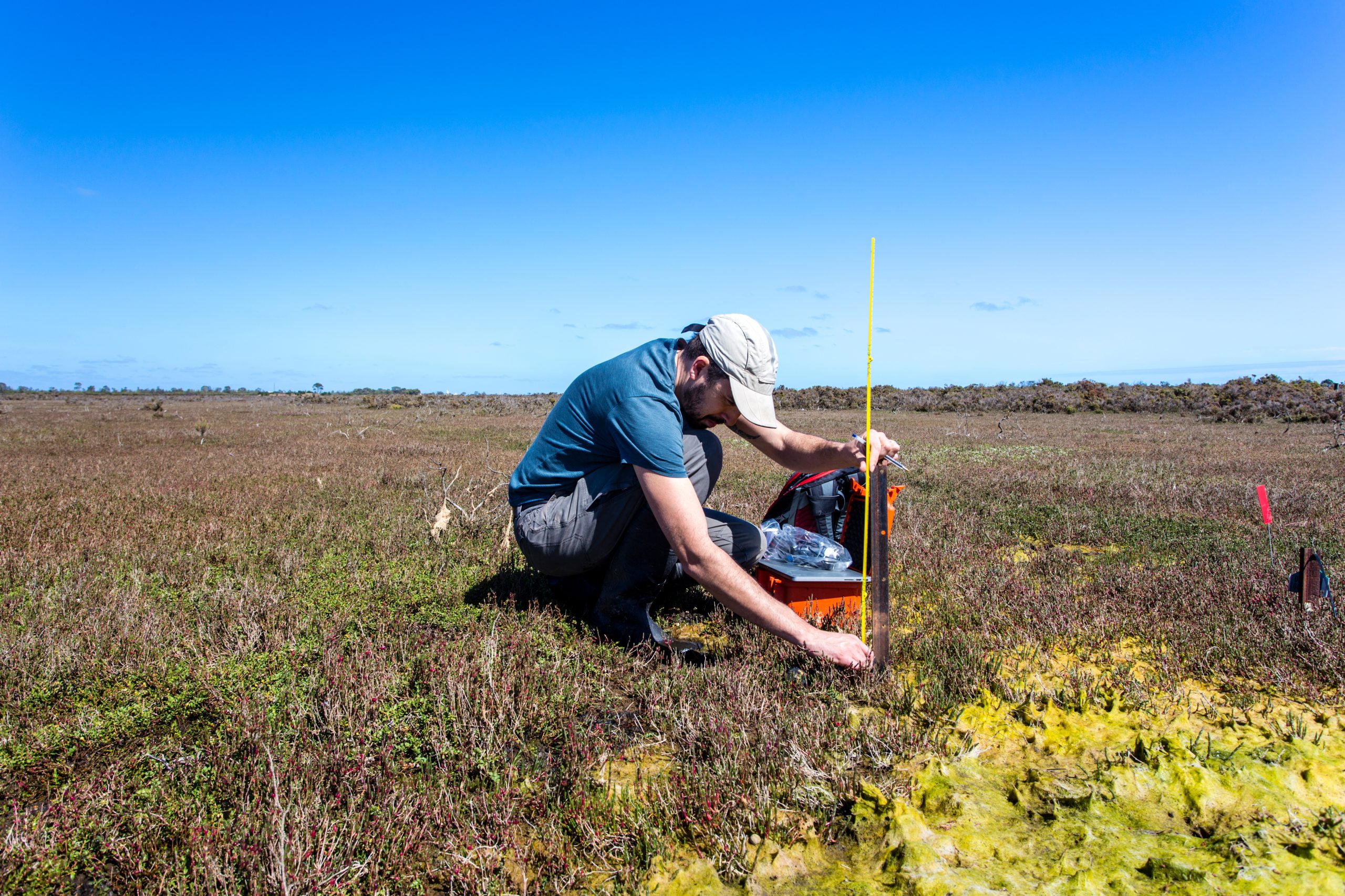 Climate Resilience